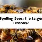 Spelling Bees: the Larger Lessons?