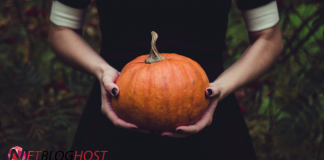 Gargoyles and Pumpkins