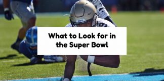 What to Look for in the Super Bowl